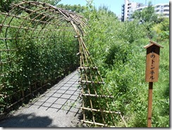 百花園萩トンネル