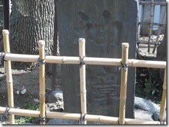 吾嬬神社神樟