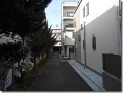 ナメクジ路地裏