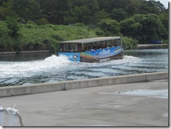 スカイダック②