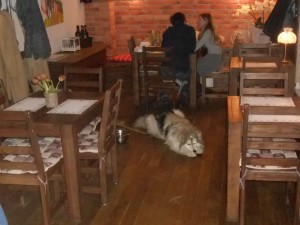 レストランと犬